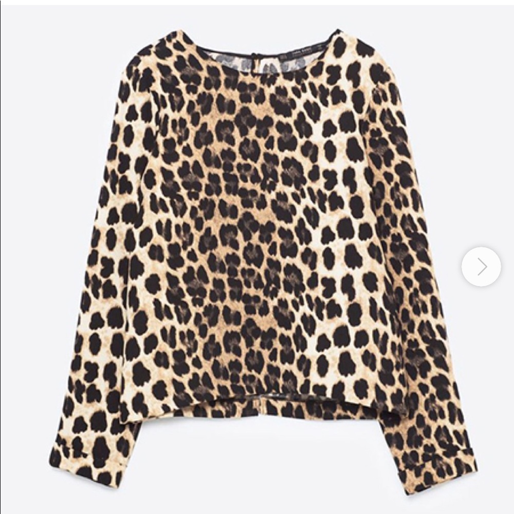 Zara Boxy Leopard Top